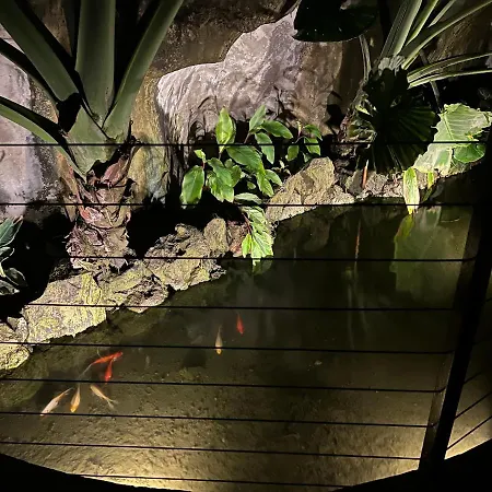 Apartment Luxury Family Equilibrium By Altamarhomes